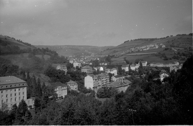 Pohled ze Šibeničního vrchu do údolí